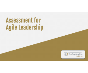 Agile Leadership Assessment
